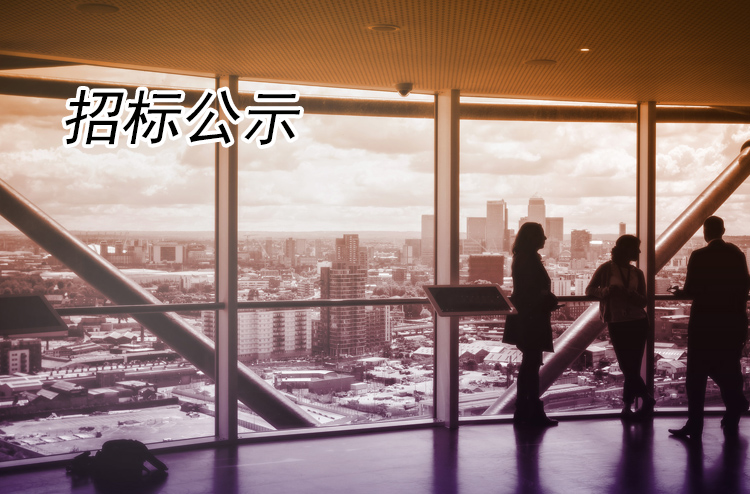宋夹城元霄灯会南门段灯饰工程竞争性谈判公告
